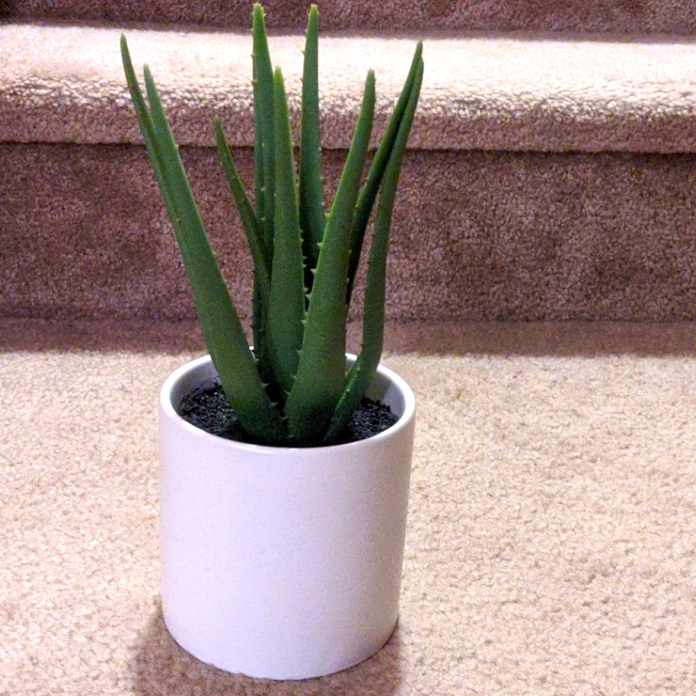Faux Aloe plant